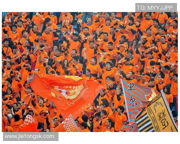 2017卓尔足球主场激情四溢见证球队荣耀与梦想的追逐之路