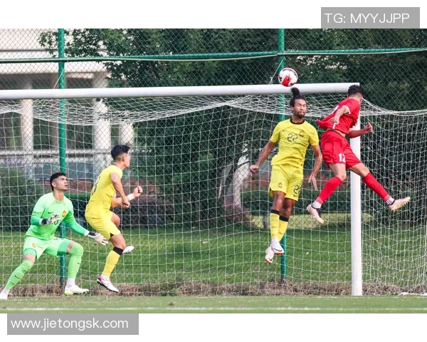 与足球相似的团队精神与合作默契在生活中的重要性与启示