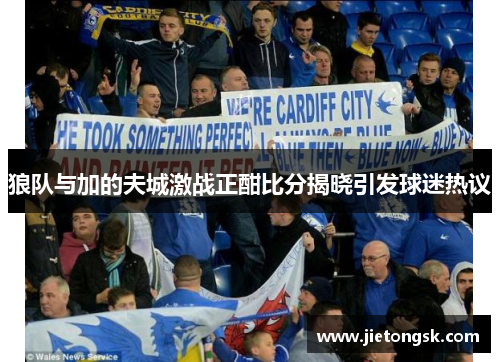 狼队与加的夫城激战正酣比分揭晓引发球迷热议